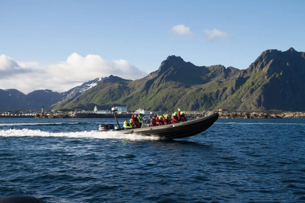 Aguilas marinas crucero en el Trollfjord