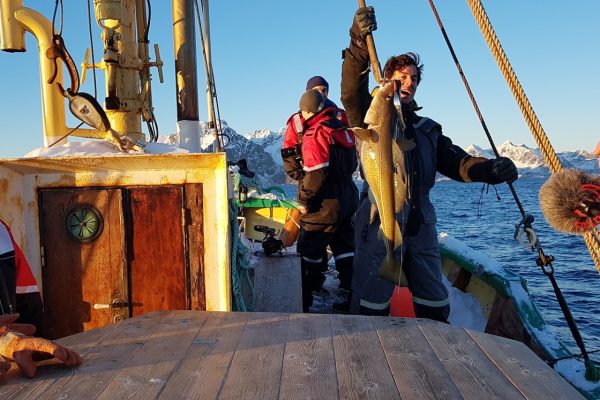 fisketur fra Svolvær